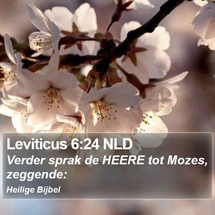 Leviticus 6:24 NLD Bible Study