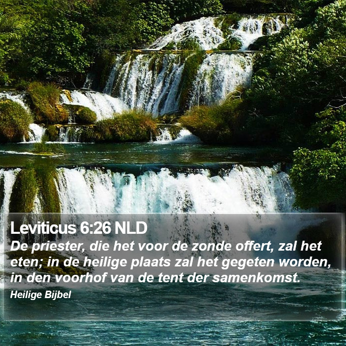 Leviticus 6:26 NLD Bible Study