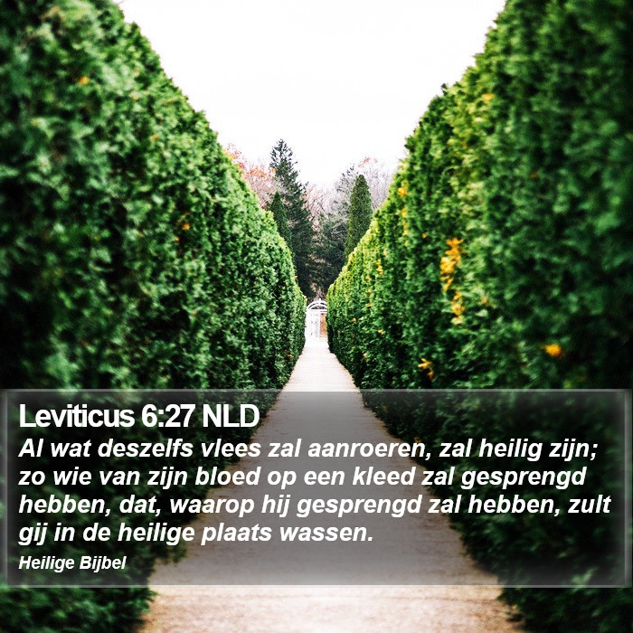 Leviticus 6:27 NLD Bible Study