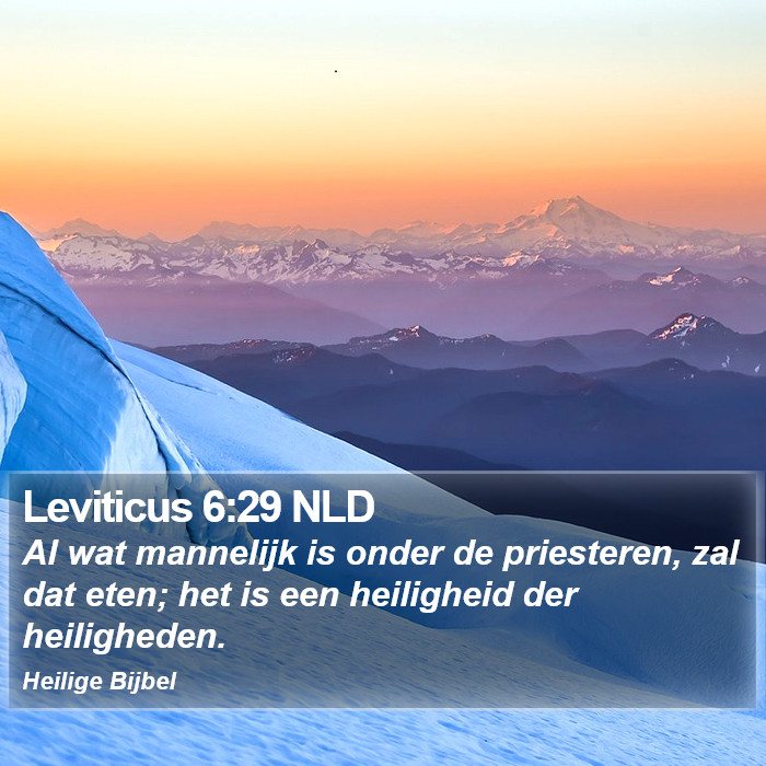 Leviticus 6:29 NLD Bible Study