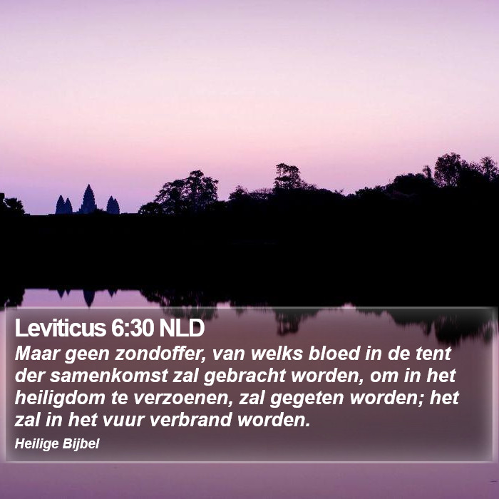 Leviticus 6:30 NLD Bible Study