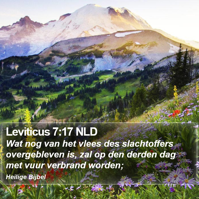 Leviticus 7:17 NLD Bible Study