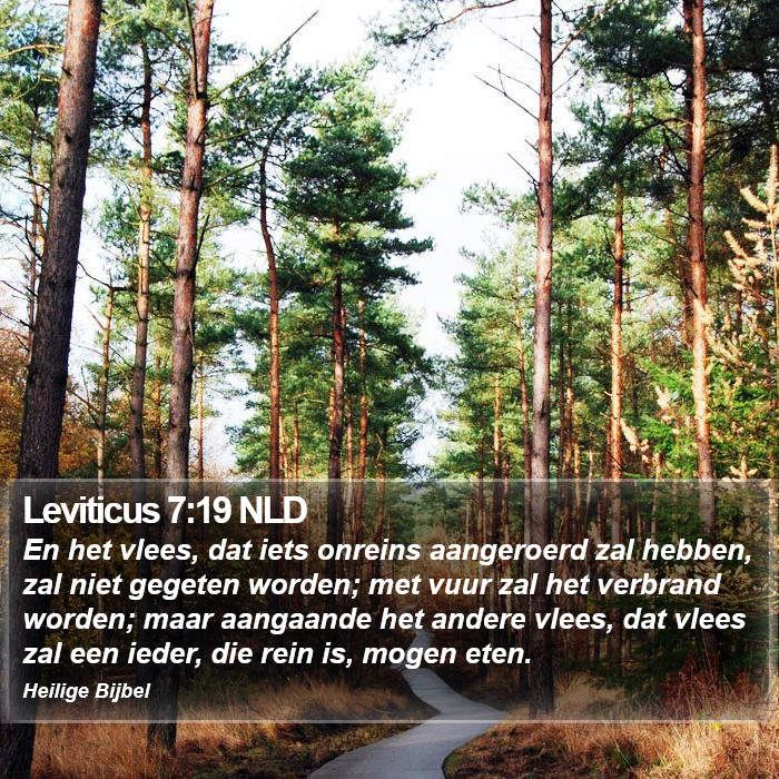 Leviticus 7:19 NLD Bible Study