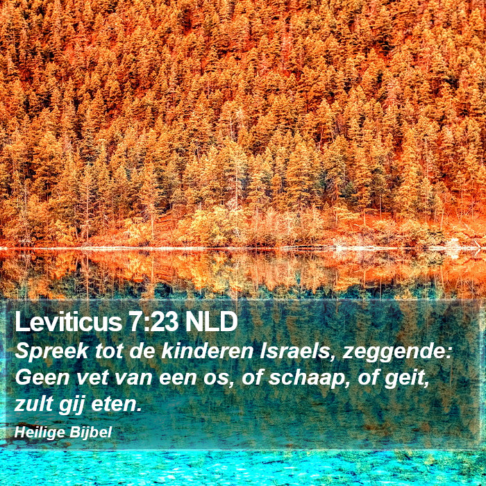 Leviticus 7:23 NLD Bible Study