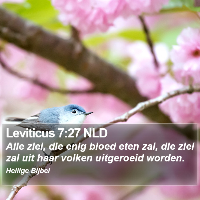 Leviticus 7:27 NLD Bible Study