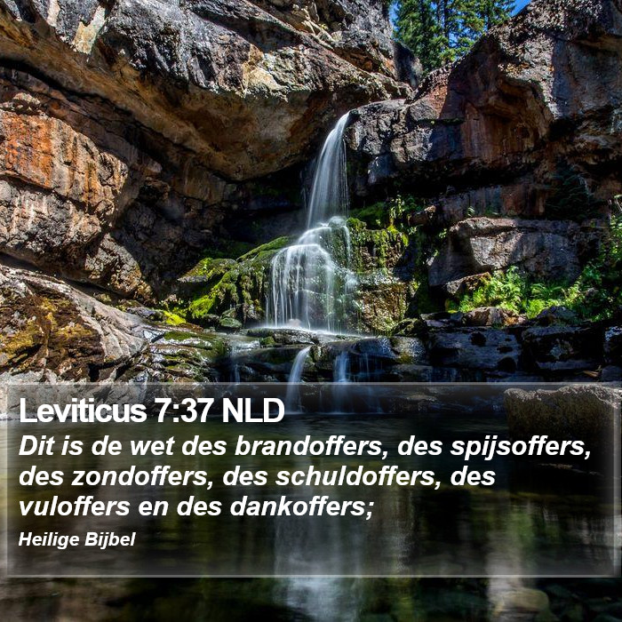 Leviticus 7:37 NLD Bible Study