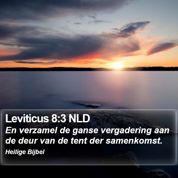 Leviticus 8:3 NLD Bible Study