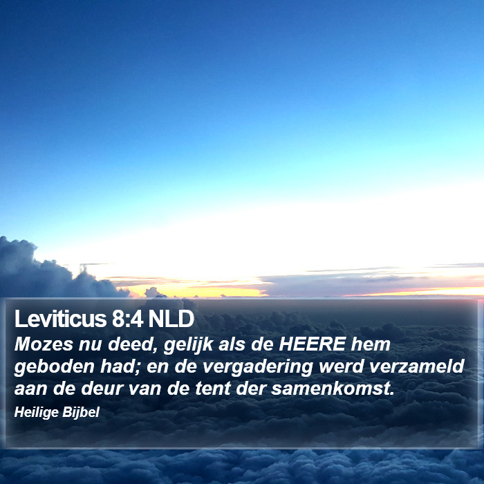 Leviticus 8:4 NLD Bible Study