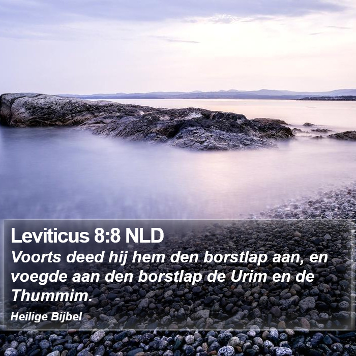 Leviticus 8:8 NLD Bible Study