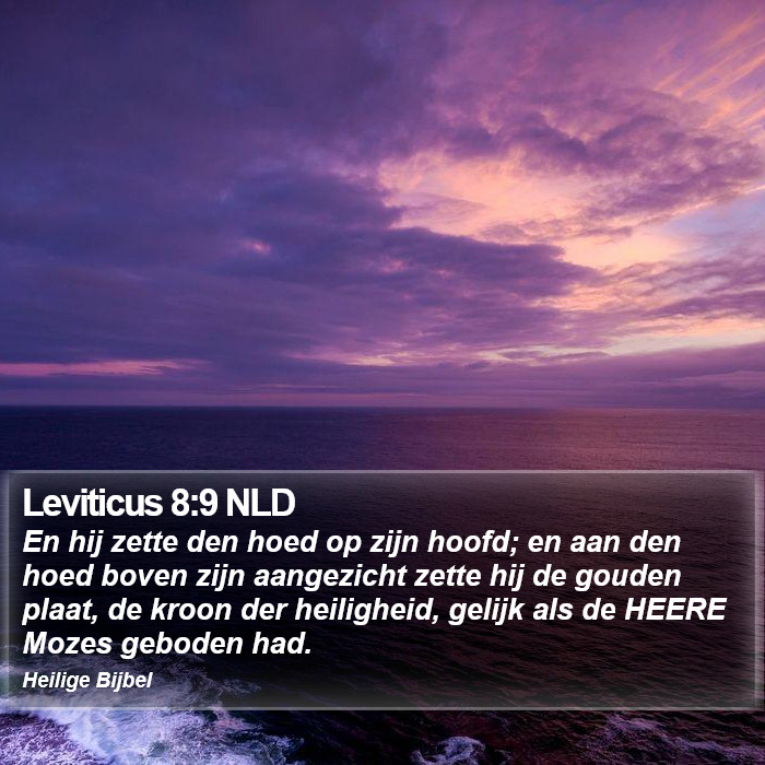 Leviticus 8:9 NLD Bible Study