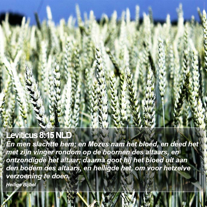 Leviticus 8:15 NLD Bible Study