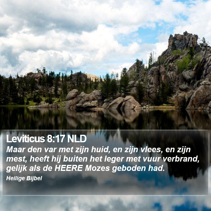 Leviticus 8:17 NLD Bible Study