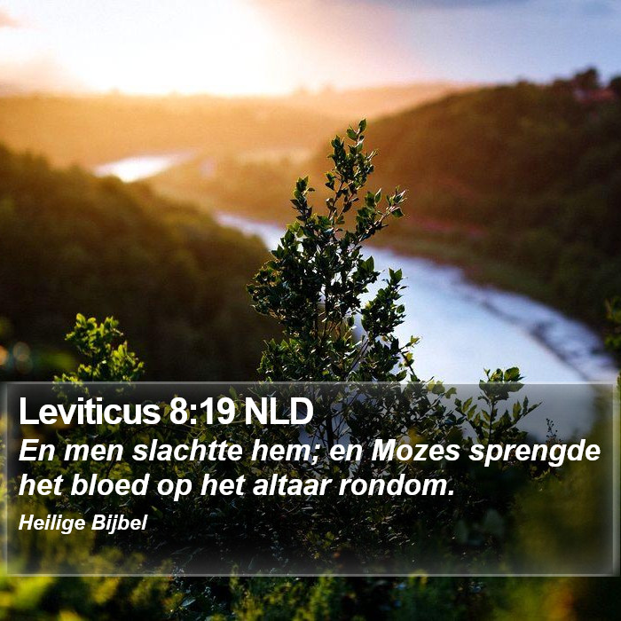 Leviticus 8:19 NLD Bible Study