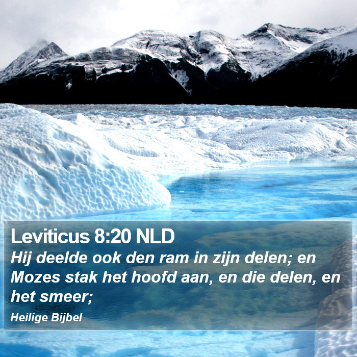 Leviticus 8:20 NLD Bible Study