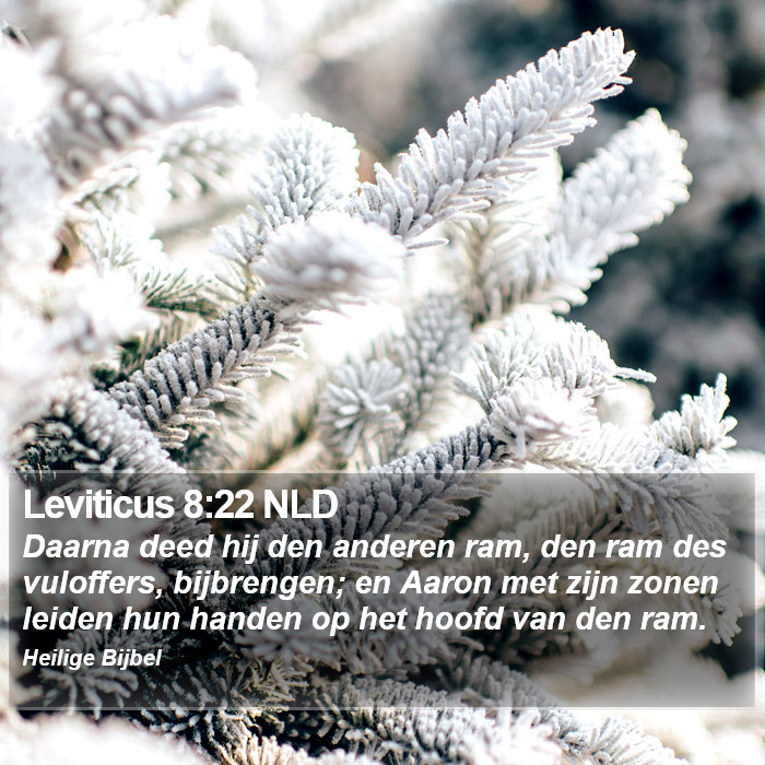 Leviticus 8:22 NLD Bible Study