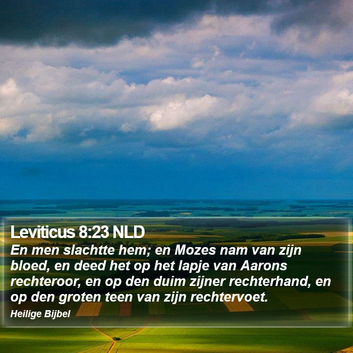 Leviticus 8:23 NLD Bible Study