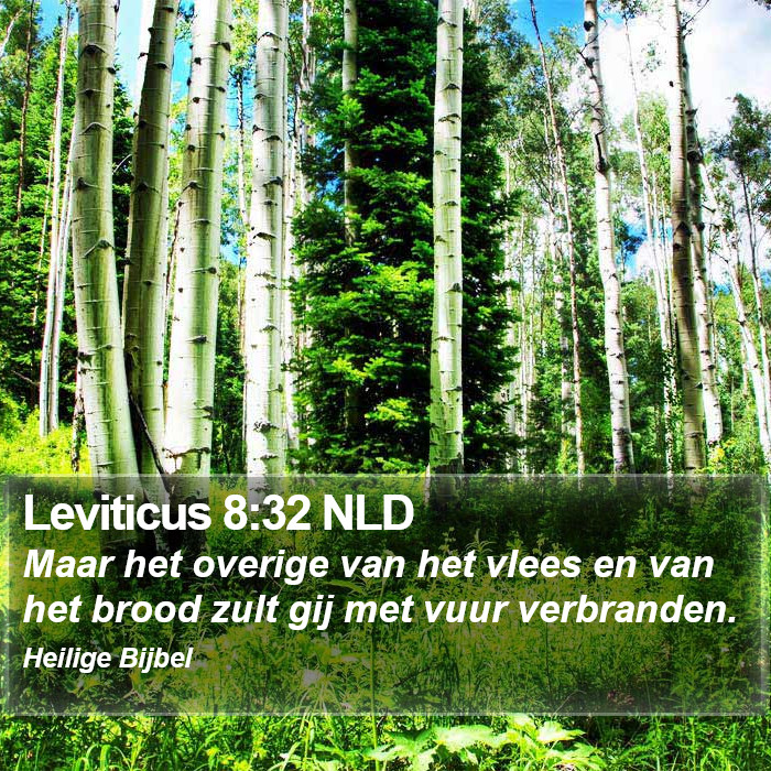 Leviticus 8:32 NLD Bible Study