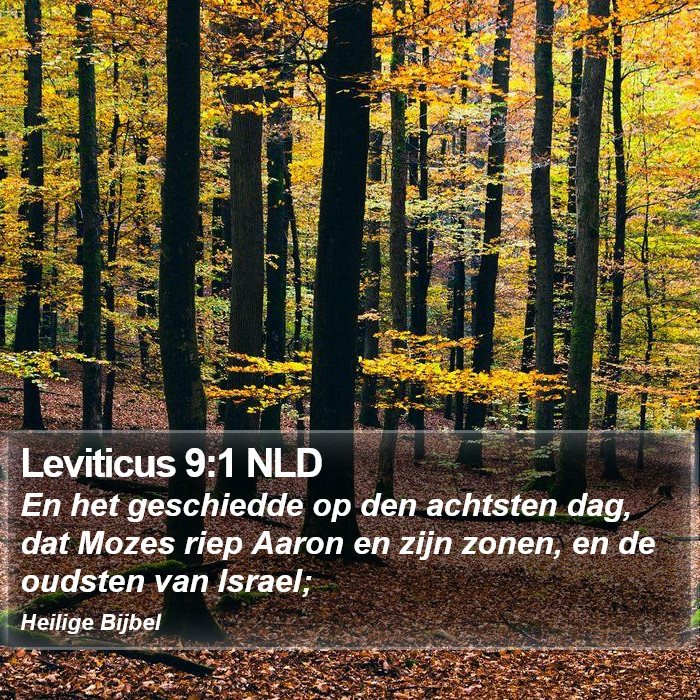 Leviticus 9:1 NLD Bible Study