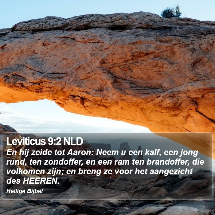 Leviticus 9:2 NLD Bible Study