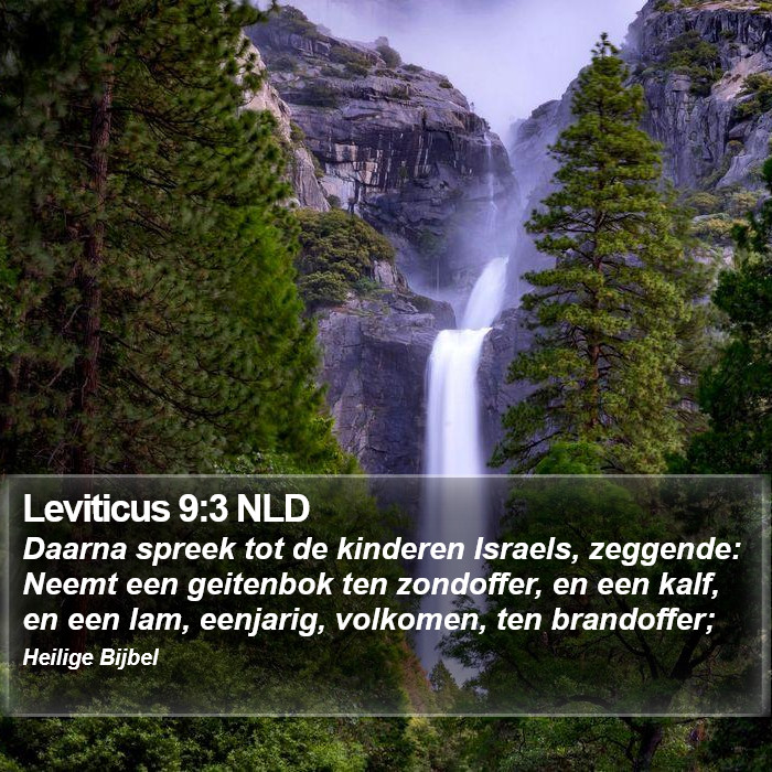 Leviticus 9:3 NLD Bible Study