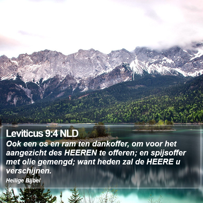 Leviticus 9:4 NLD Bible Study