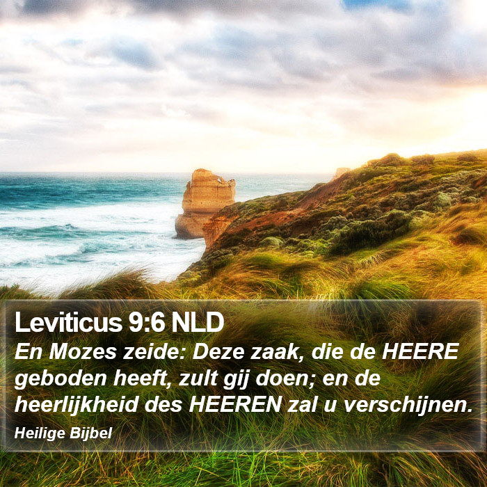 Leviticus 9:6 NLD Bible Study