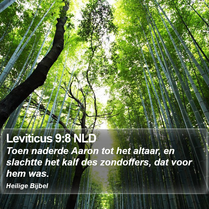 Leviticus 9:8 NLD Bible Study