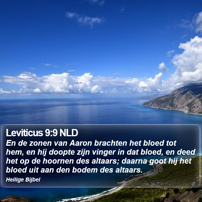 Leviticus 9:9 NLD Bible Study