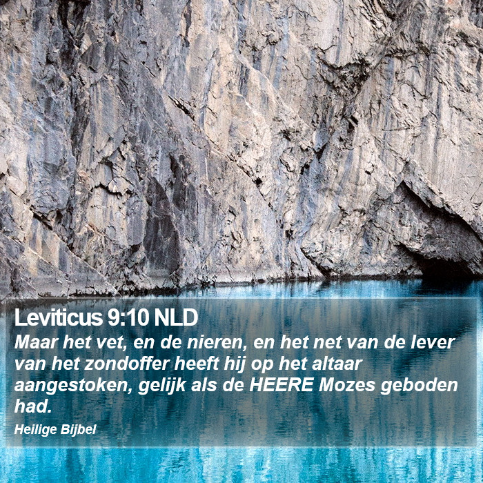 Leviticus 9:10 NLD Bible Study