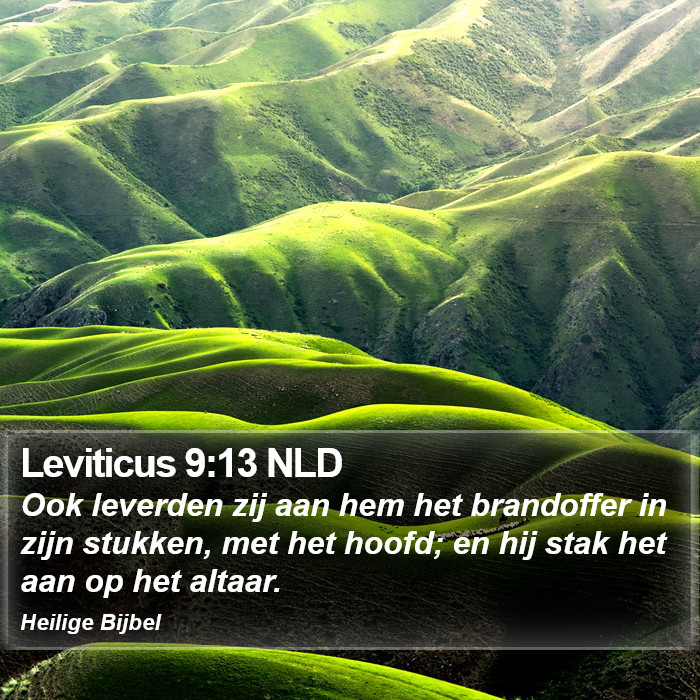 Leviticus 9:13 NLD Bible Study