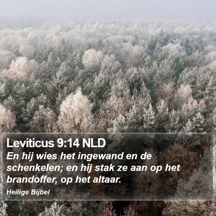 Leviticus 9:14 NLD Bible Study