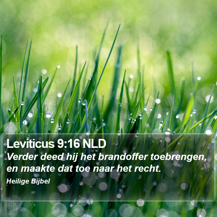 Leviticus 9:16 NLD Bible Study