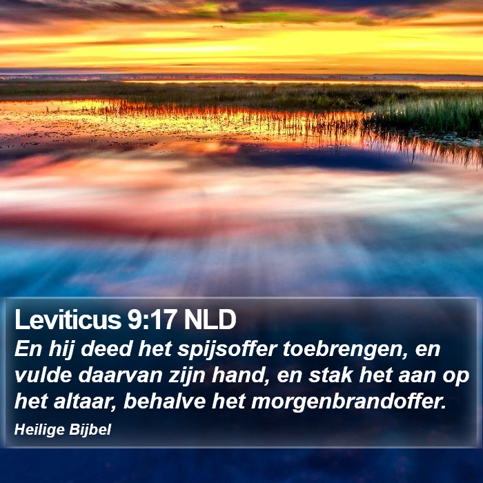 Leviticus 9:17 NLD Bible Study