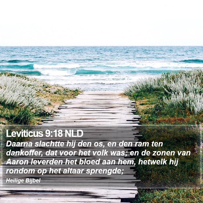 Leviticus 9:18 NLD Bible Study