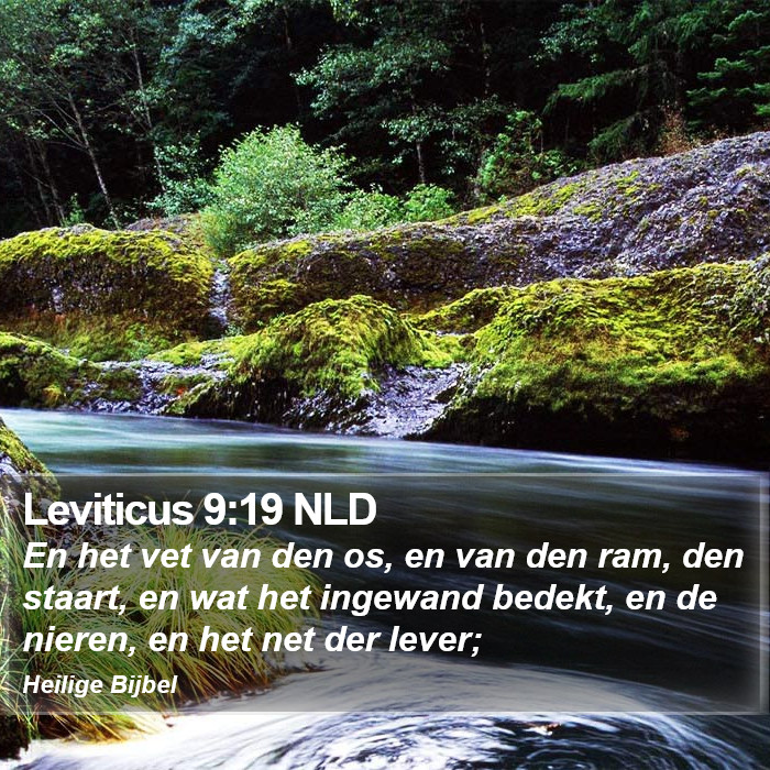 Leviticus 9:19 NLD Bible Study