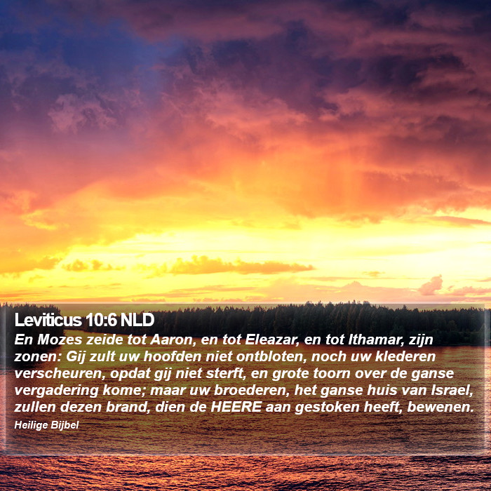 Leviticus 10:6 NLD Bible Study