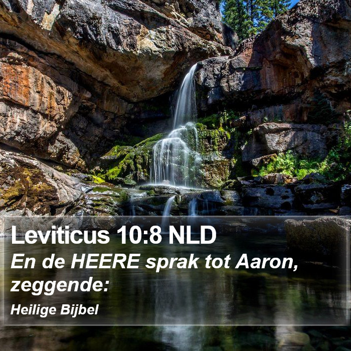 Leviticus 10:8 NLD Bible Study