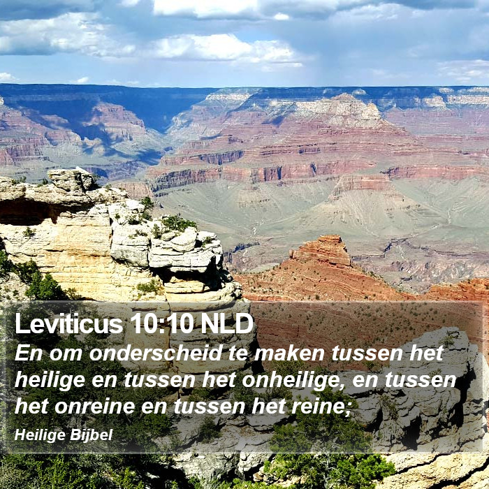 Leviticus 10:10 NLD Bible Study