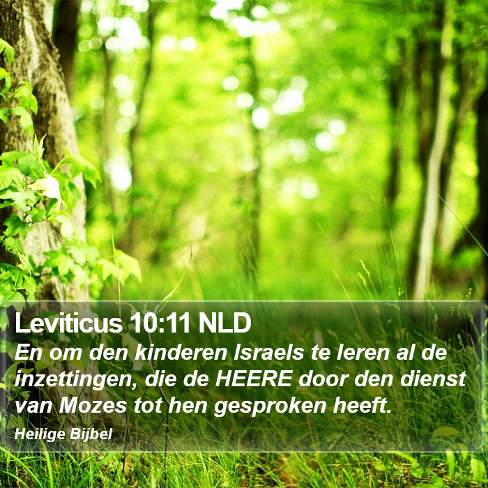 Leviticus 10:11 NLD Bible Study