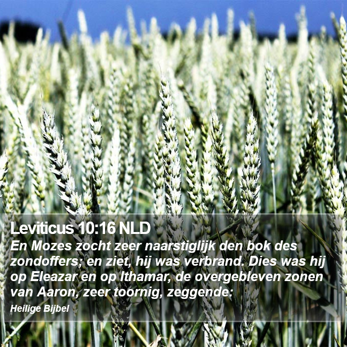 Leviticus 10:16 NLD Bible Study