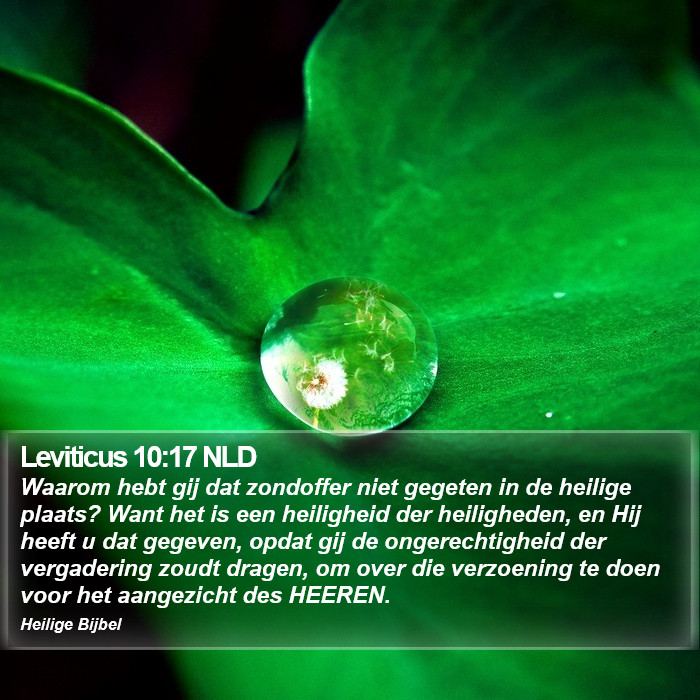 Leviticus 10:17 NLD Bible Study