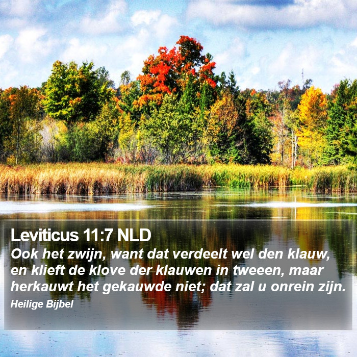 Leviticus 11:7 NLD Bible Study