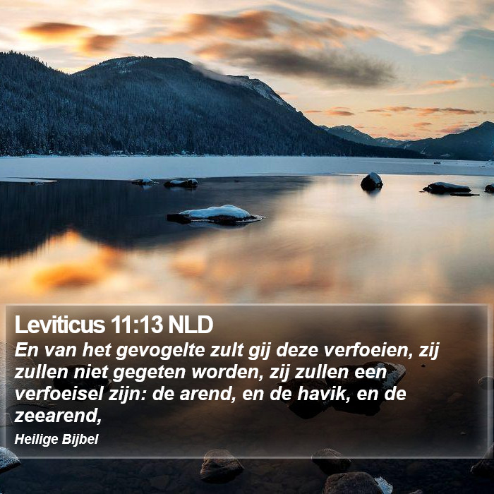 Leviticus 11:13 NLD Bible Study