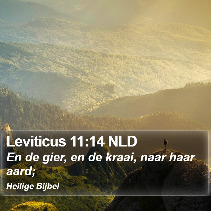 Leviticus 11:14 NLD Bible Study