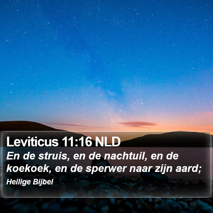Leviticus 11:16 NLD Bible Study