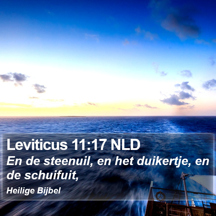 Leviticus 11:17 NLD Bible Study