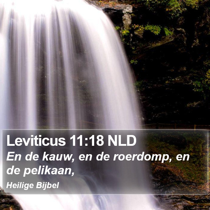 Leviticus 11:18 NLD Bible Study