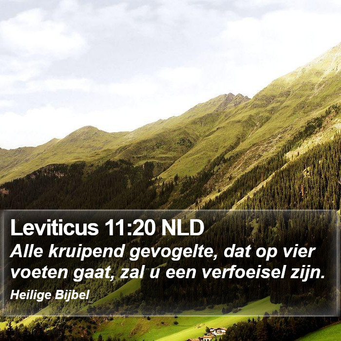 Leviticus 11:20 NLD Bible Study