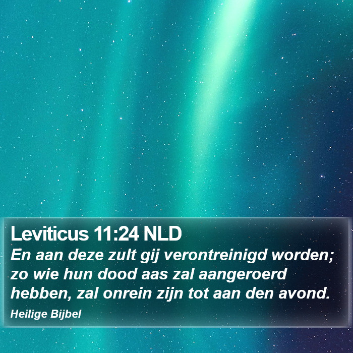 Leviticus 11:24 NLD Bible Study