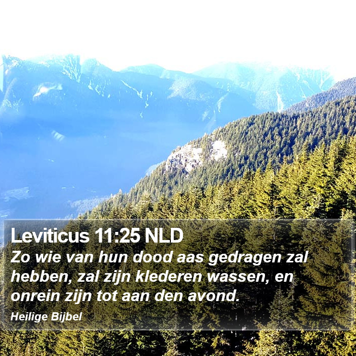 Leviticus 11:25 NLD Bible Study